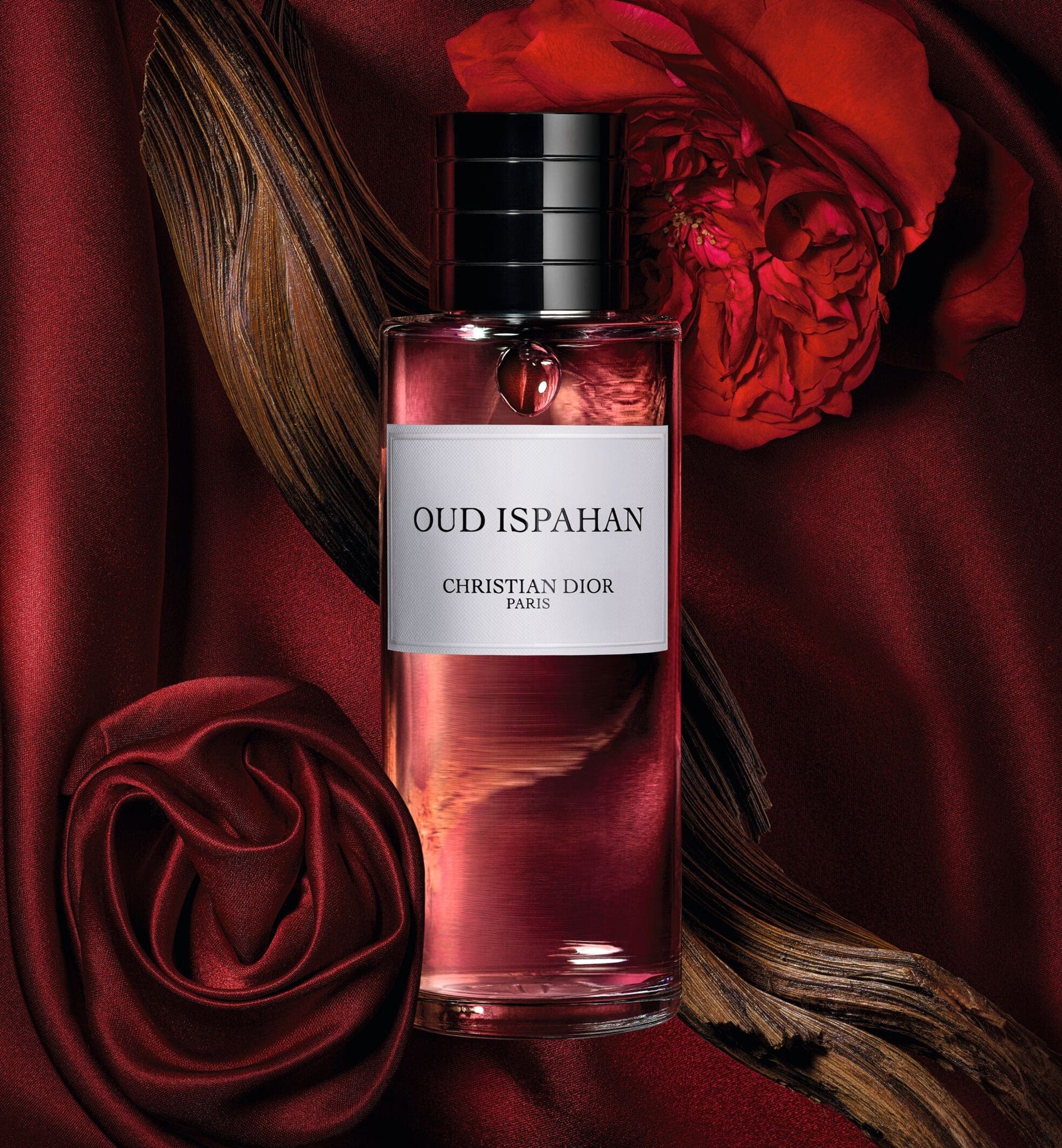 OUD ISPAHAN DIOR PV